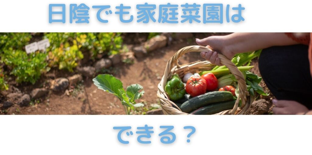 家庭菜園は日陰でもできる